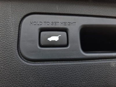 2024 Honda Pilot EX-L 8 Passenger