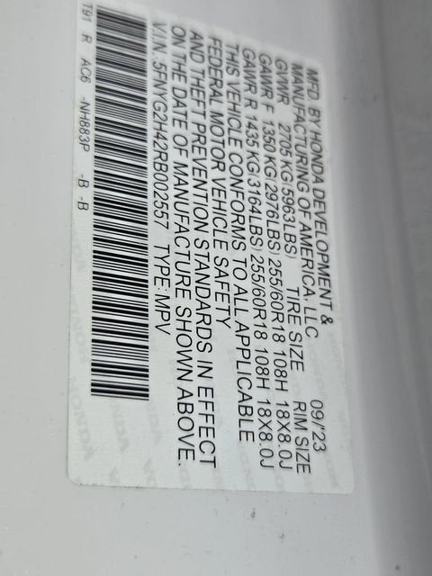 2024 Honda Pilot EX-L 8 Passenger